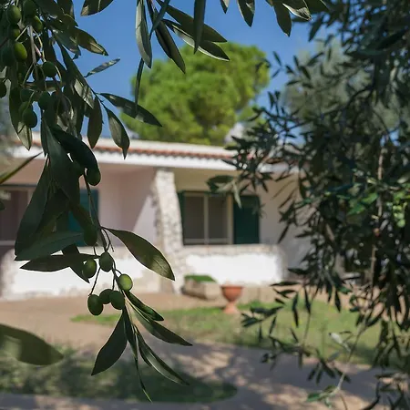 Borghetto Tio Pepe 3* Mattinata