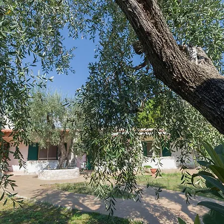 Borghetto Tio Pepe Mattinata